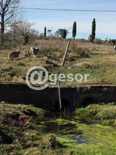 Image2